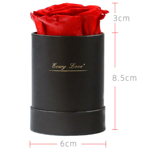 Flower Flower Pot Rose