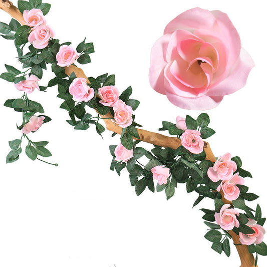 Rose Flower Vine