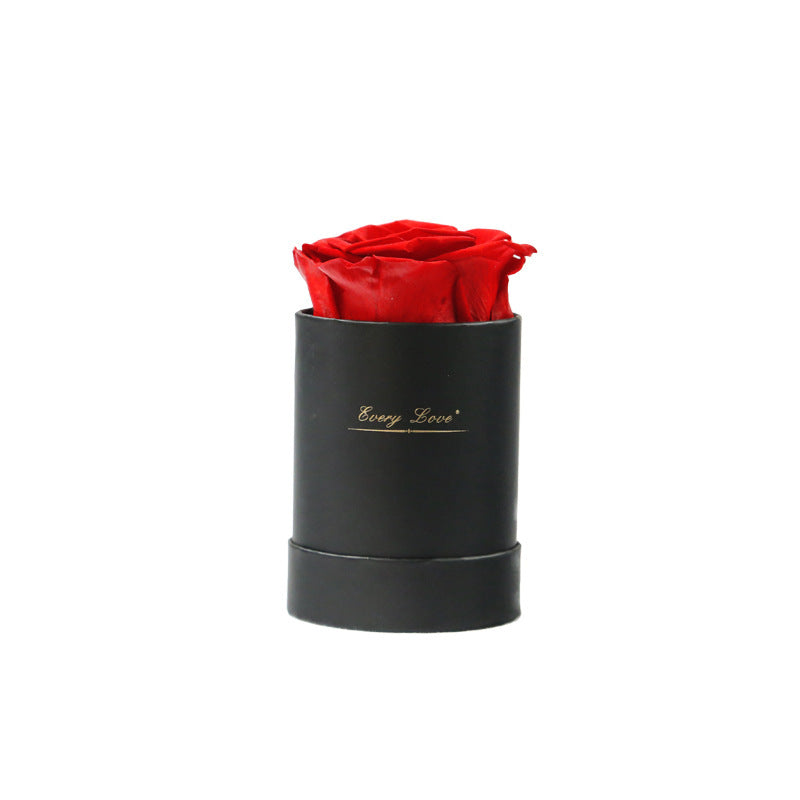 Flower Flower Pot Rose