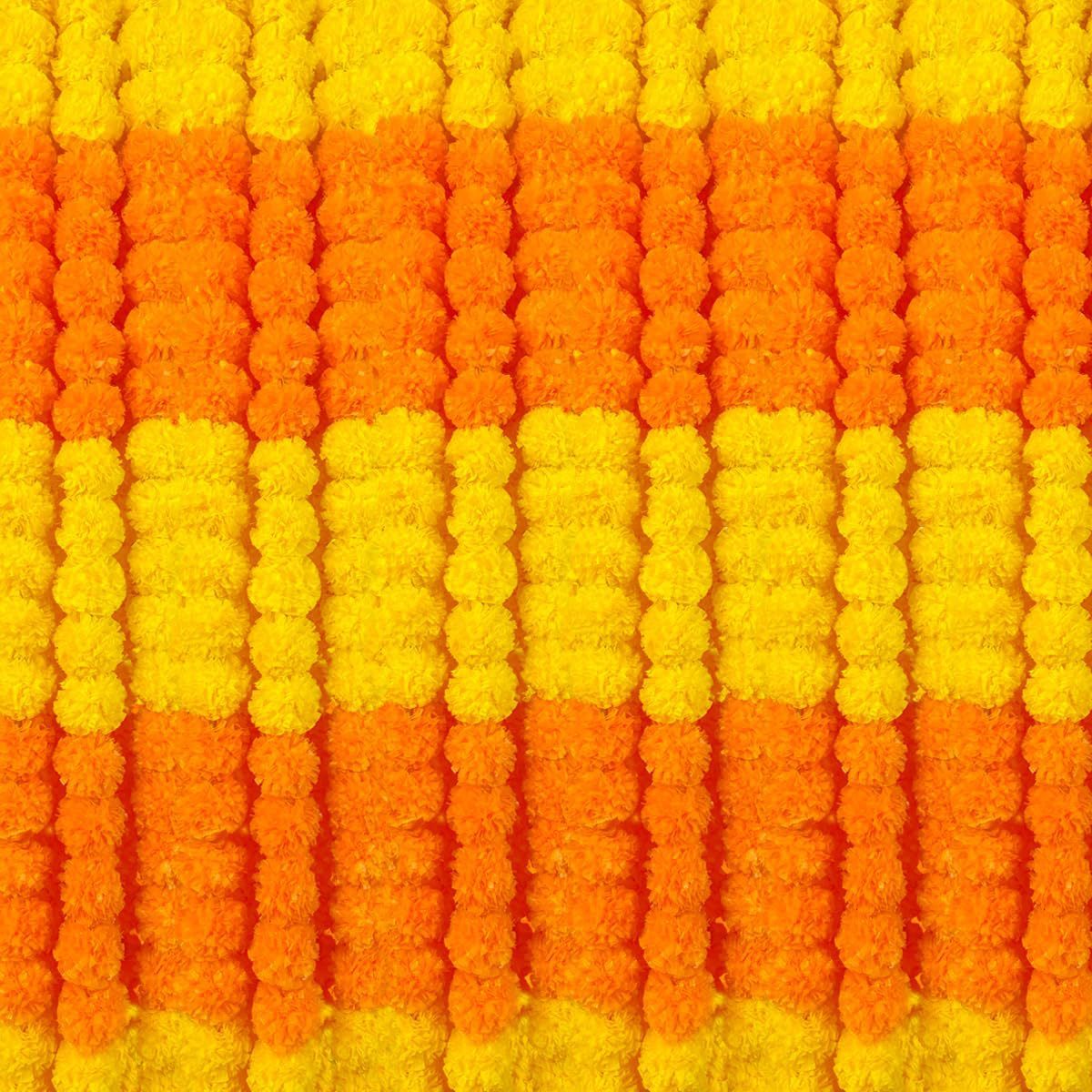 Chrysanthemum Flower