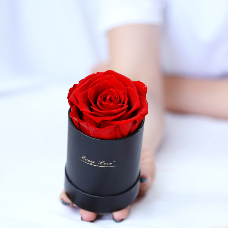 Flower Flower Pot Rose