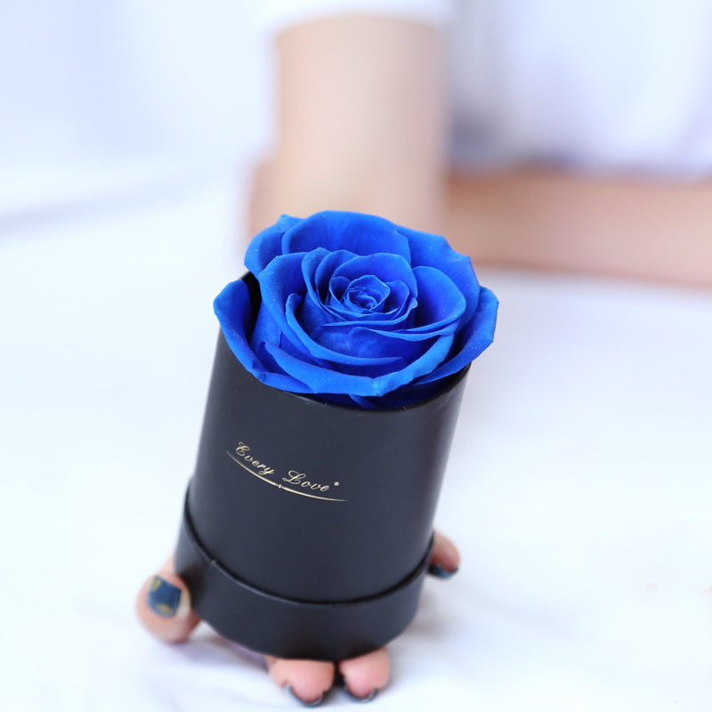 Flower Flower Pot Rose