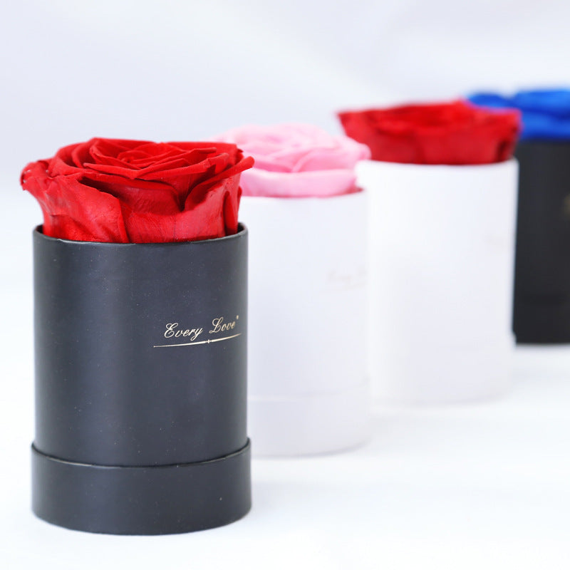 Flower Flower Pot Rose