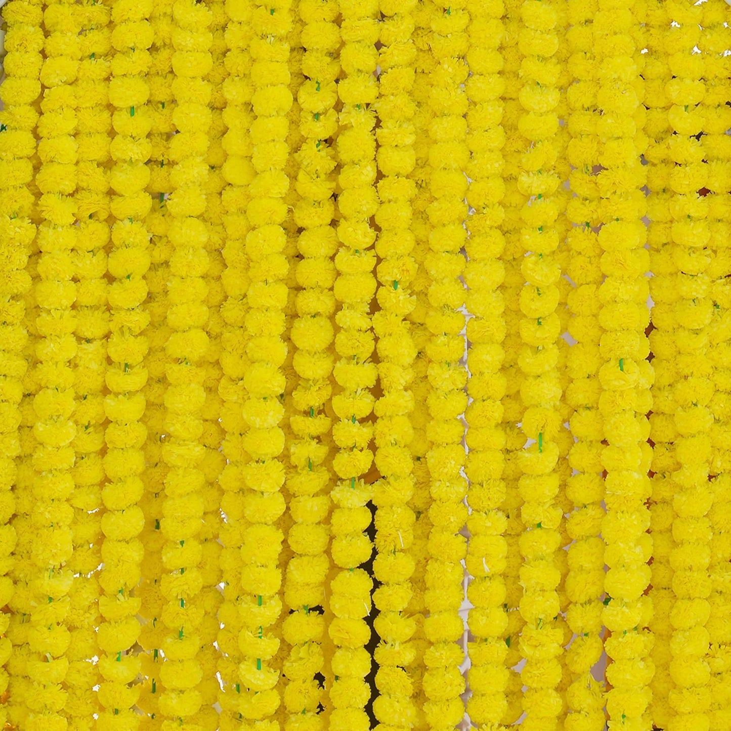 Chrysanthemum Flower