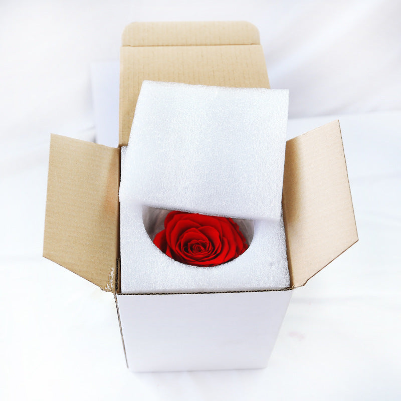 Flower Flower Pot Rose