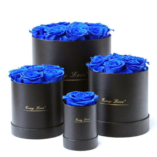 Flower Flower Pot Rose